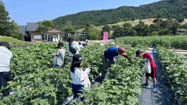 イングランドの丘キャンプ体験講習会