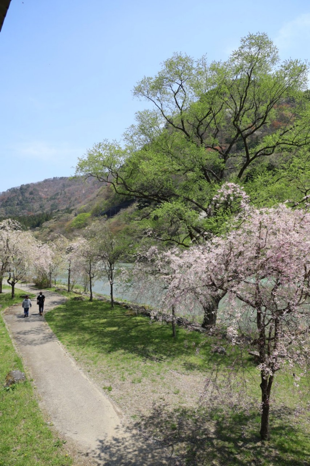 栃木県のキャンプ場より春の便り 一般社団法人 日本オートキャンプ協会 栃木県のキャンプ場より春の便り 一般社団法人 日本オートキャンプ協会