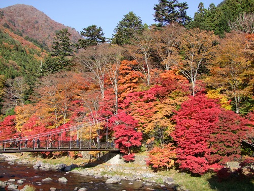 紅葉の様子